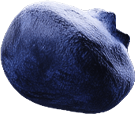 n-berry3.png