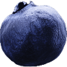 n-berry5.png