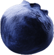 n-berry6.png